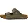 olive 41