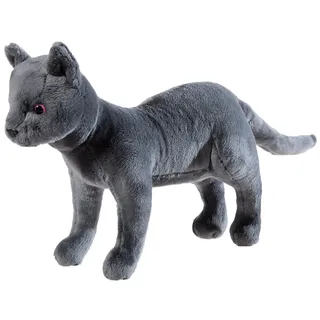 HEUNEC Schule der Magischen Tiere Katze Karajan