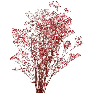 Trockenblume Schleierkraut Trockenblumen Rot 50cm 55g Dekoration Hochzeit DIY, Viana