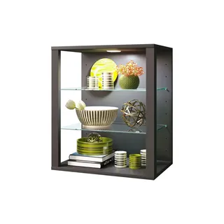 VCM Vitrine Sammelvitrine Glasol SW