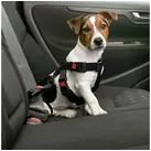 Auto Sicherheitsgeschirr XL 60-100 cm) Sicherheitsgurt Hundegeschirr Hunde
