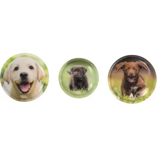 School-Mood 3er Patchy-Set Leni (Hund)