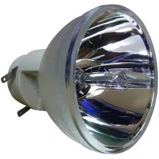 Nackte Lampe BENQ W1090 NLMP23744