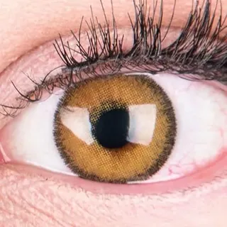 GLAMLENS Farbige Braune Kontaktlinsen Mirel Brown Stark Deckende Natürliche Silikon Comfort Linsen - 1 Paar (2 Stück) Mit Stärke -3.00 Dioptrien
