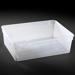 M&S Reptilien Kunststoffbox transparent, groß (24x18x7,5 cm) Deckel transparent