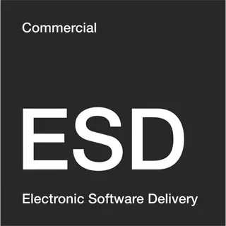 Microsoft Visio Professional 2021 ESD Win