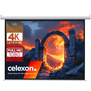 Celexon basic Motor-Leinwand 135" | 240x240 cm 1:1 | elektrische Full-HD 4K Beamer-Leinwand für Heimkino oder Büro-Präsentationen | geeigent zur Deckenmontage oder Wandmontage | inkl. Fernbedienung